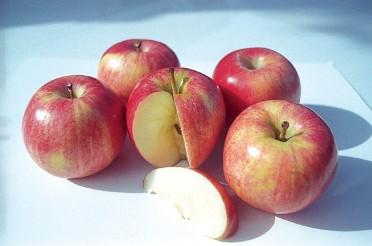 GALA-Apple