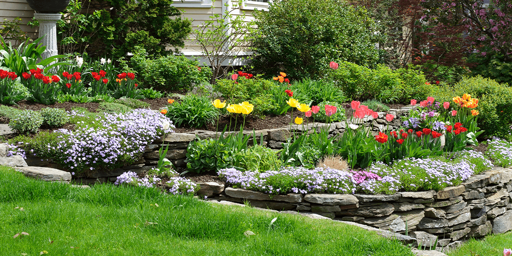 The Tropical Garden