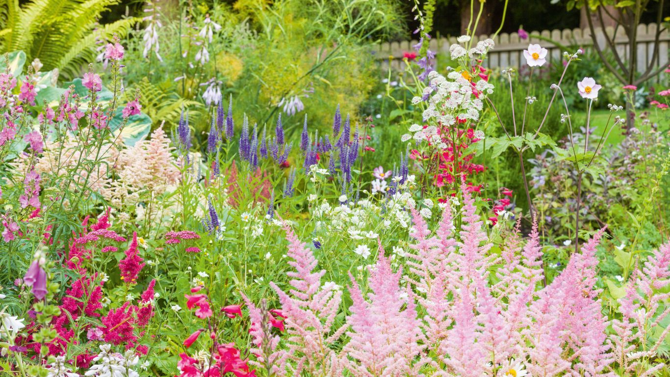Eco Friendly Garden